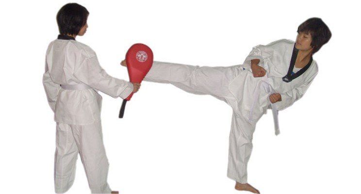 TMA Taekwondo Kick Pad Target Tae Kwon Do Karate Kickboxing Foot Practice x1