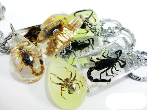 Mixed Style unique crystal artificial amber insect Keychain keychains and car keyring fashion gifts