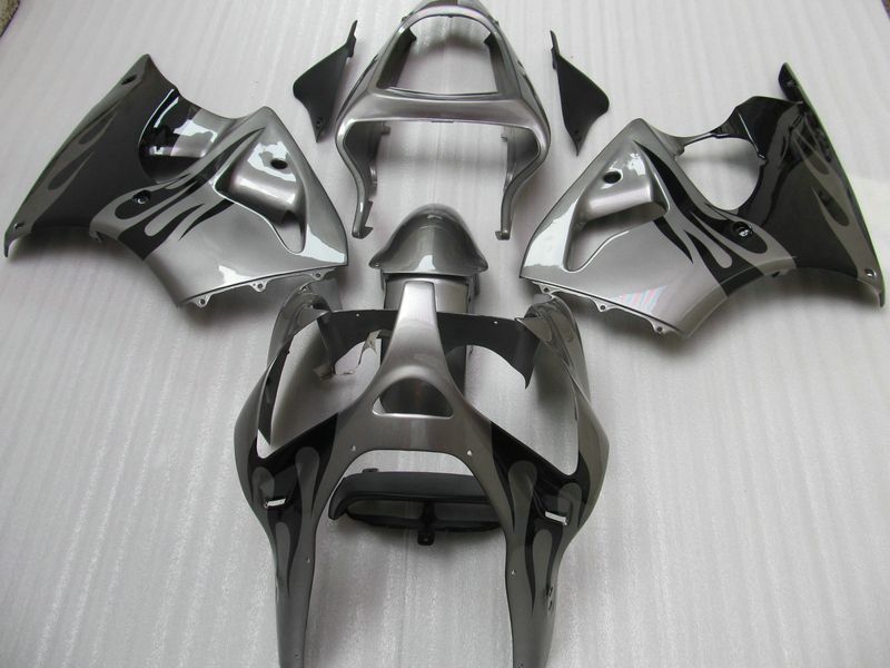 Black Flames Silver ABS Plastic Fairings Kit For Kawasaki 