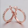 2013 Nieuwe 18K Rose Vergulde Rhinestone Crystal Hoop Oorbellen Mode-sieraden voor Vrouwen Gratis Verzending 10 Paar / partij