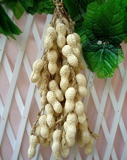 A String Artificial Vegetables Peanut Simulation Peanuts Fake Vegetable