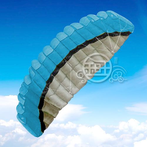Gorąca sprzedaż 2,5 m 2 Linia Stunt Parafoil Power Sport Kite / Niebieska Darmowa Wysyłka !!
