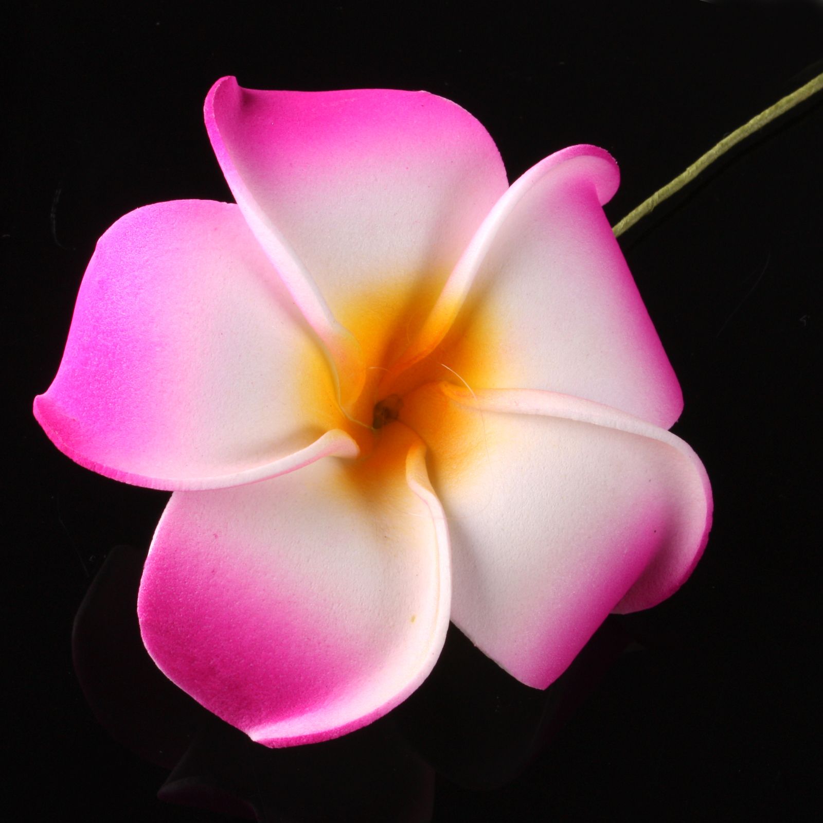 Wholesale Plumeria Flowers Latex Frangipani Wedding Bouquet Birthday