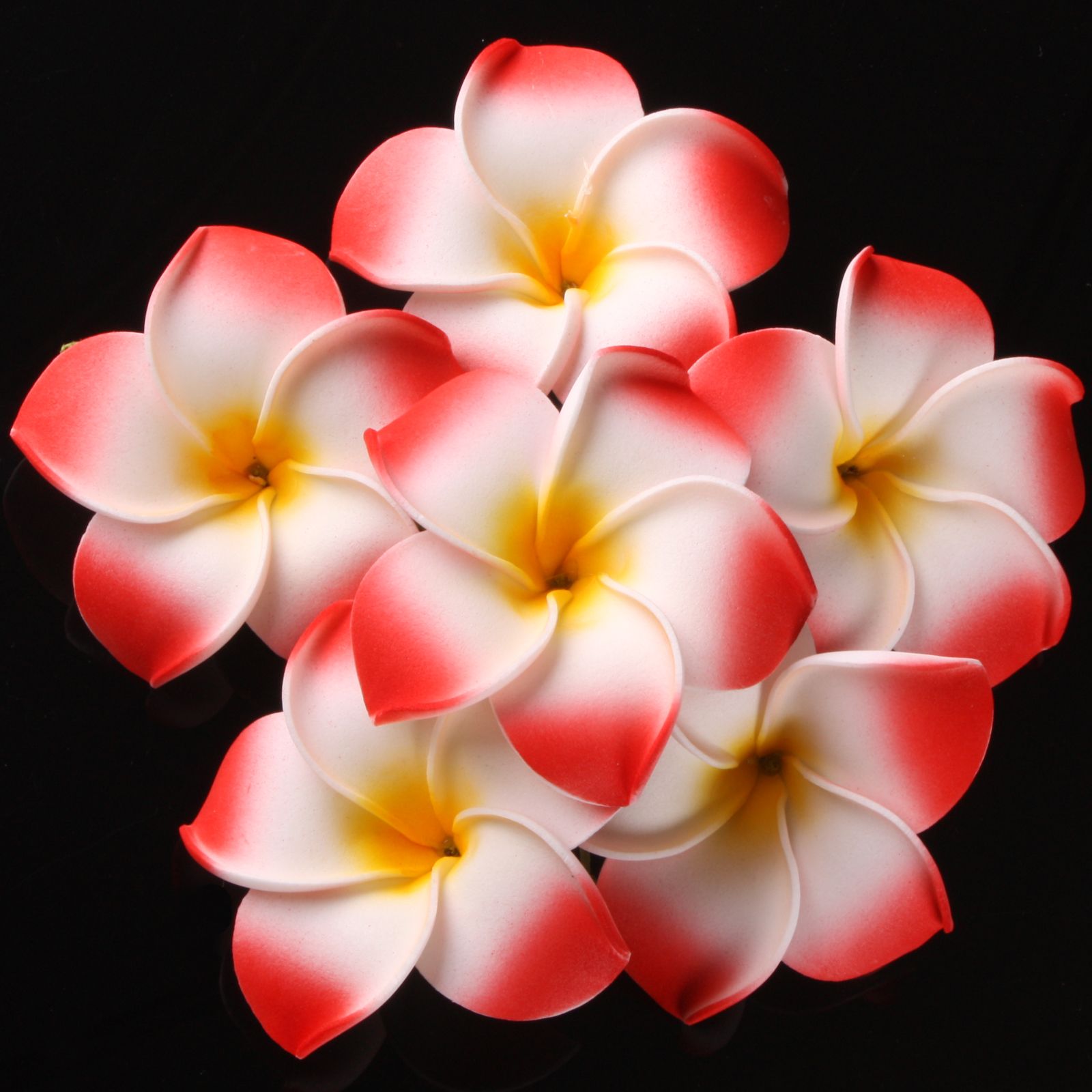 Wholesale Plumeria Flowers Latex Frangipani Wedding Bouquet Birthday