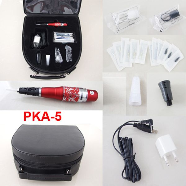 Permanent Makeup Kits Cosmetic Tattooing Supply Including Eyebrow Machine Needles Tips Case PKA