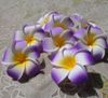 200pcs 5cm hawaian 5colors Artificial PE plumeria Flower Heads DIY wedding party headware decoration