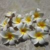 200 stks 5 cm Hawaiy 5 kleuren kunstmatige PE Plumeria bloem hoofden DIY bruiloft hoofdware decoratie