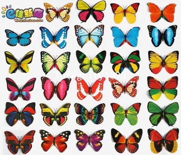 Magnet Style M Size Butterfly Wall Stickers Pvc Butterfly Fridge Magnets For Car Dress Home 