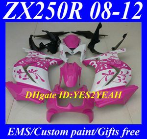 Einspritzverkleidungs-Bodykit für KAWASAKI Ninja ZX250R ZX 250R 2008 2012 EX250 08 09 10 11 12 Verkleidungen Karosserie KH91