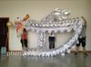 5,5 M niño traje de la mascota Golden Chapado Chino Danza Festival Folk Festival Celebración