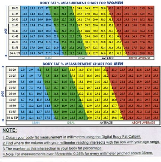 body fat calculator without measurements body fat calculator without measurements