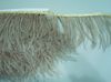 champagne ostrich feather
