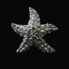 Antiek zilver Starfish CZ Beach Bridal Broche