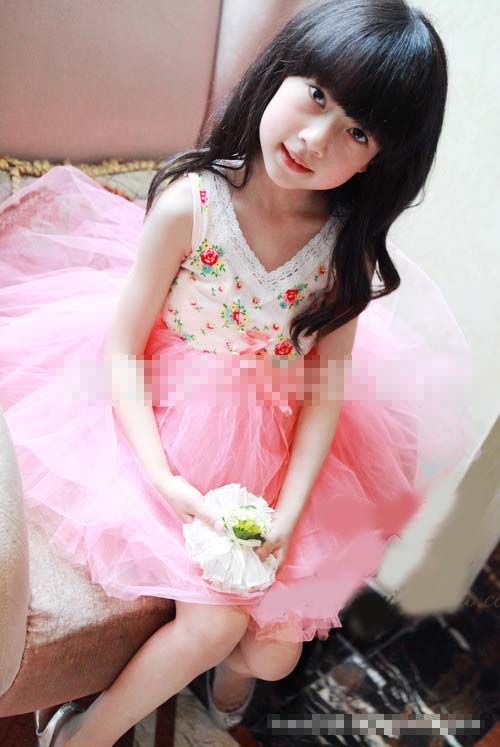 2013 Yeni Kore Bebek Kız Çocuk Çiçek Tül Tutu Dress Sundress Çocuk Giyim 0028