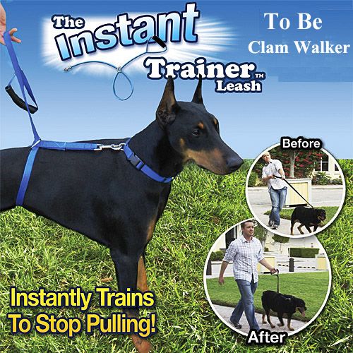 The Trainer Leash Trains To Stop Pulling Fits 30 lbs End Up Dogs Calm Walker