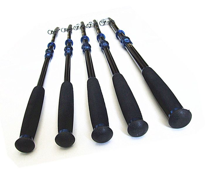 Ocean Beach Fishing Rod Boat Rod Sea Rock Fishing Tackle Telescoping
