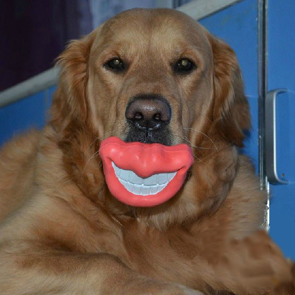 ancol dog lips dog toy