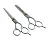 1Set Regular Hairdressing Hair Salon Skärning Tunna Silver Shears Stainless Steel Scissors Set Tool