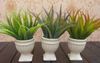 YENI Gelenler 10 Adet 30 cm Uzunluk Yapay Plastik Bitkiler Simülasyon Aloe Yaprak Fern Cycads Beş Başına Çiçekleri Kaynaklanıyor
