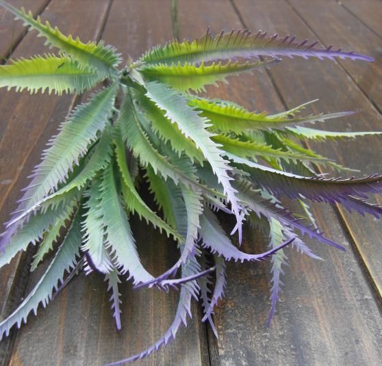 YENI Gelenler 10 Adet 30 cm Uzunluk Yapay Plastik Bitkiler Simülasyon Aloe Yaprak Fern Cycads Beş Başına Çiçekleri Kaynaklanıyor