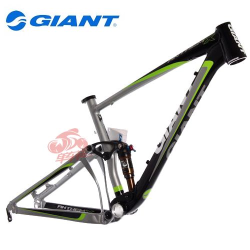 giant frame for sale