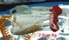 Kropp dubbelfärg Mjukt locka Fiske Lure Worms False Bait Fiske Tackle Färskvatten Bait Längd 10-18cm Vikt 4-8 g per bit Blandad Försäljning