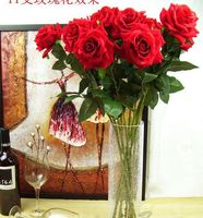 Högkvalitativ 24st 65cm / 25.59 "Längd Konstgjorda blommor Simulering Flannel Roses Singel Curling Rose Heminredning Bröllopsblomma