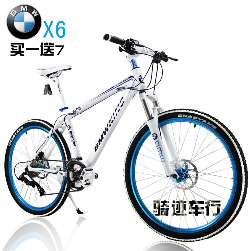 bmw mountain cycle