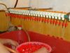 Roter Hühner-Nippeltränke mit Stahlkugelumlaufspindel, robuster Tränke-Tränke-Wassernapf für Geflügel, Kaninchen, Ente ... 500 Stück