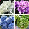 Silk European Hydrangeas 51cm Length Artificial Hydrangea Bush 7 Flower Heads 6 Colors for Wedding Flower