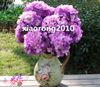 Silk European Hydrangeas 51cm Length Artificial Hydrangea Bush 7 Flower Heads 6 Colors for Wedding Flower