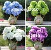 Kunstzijde Silk Hydrangea Bloemen Simulatie Hydrangeas 7 Stelen per Bush voor Woondecoratie Bruiloft Centerpieces Bloem