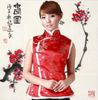 Шанхай история старинные Тан костюм леди этническая одежда китайская традиционная одежда жилеты для женщин китайский традиционный жилет 5color JYA043