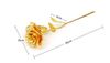 Minnaar's Gift, Girls, Womens 'Gift Gold Rose met geschenkdoos, gedoopt in 24 k goud, bloei 25 * 8cm gratis verzending