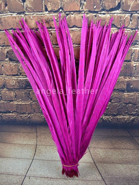 

300pcs/lot 20-22inch(50-55cm) Ringneck FUCHSIA Pheasant Tail Feathers Hair decoration Festival party supplies any color