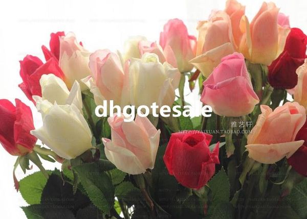 

Flores decorativas & Coroas dhgotesale