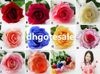 12Pcs Real Touch Rose Artificial Flowers Roses Open Moisture Fake Single Rose Natural Looking Rose Flowers 15 Colors for Wedding Flower