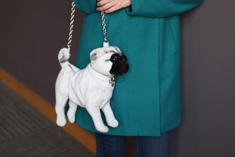 soft toy dog in handbag