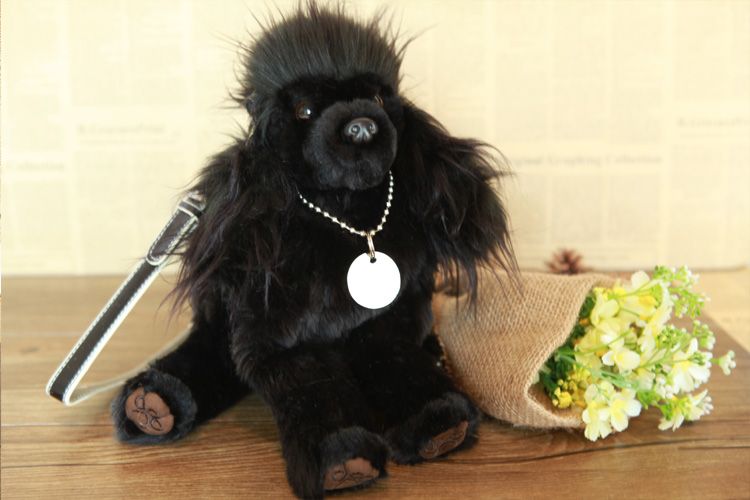 soft toy dog in handbag