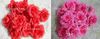 Wholesale - 100pcs 11cm/4.33" Artificial Silk Camellia Rose Peony Flower Heads Wedding Party Decorative FlwoersSeveral Colours Available