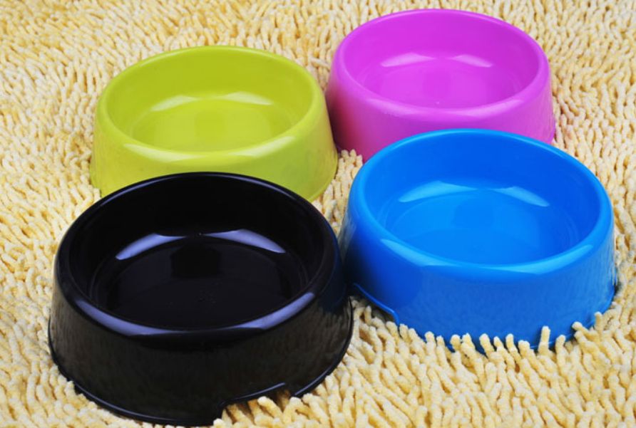 cheap dog bowl