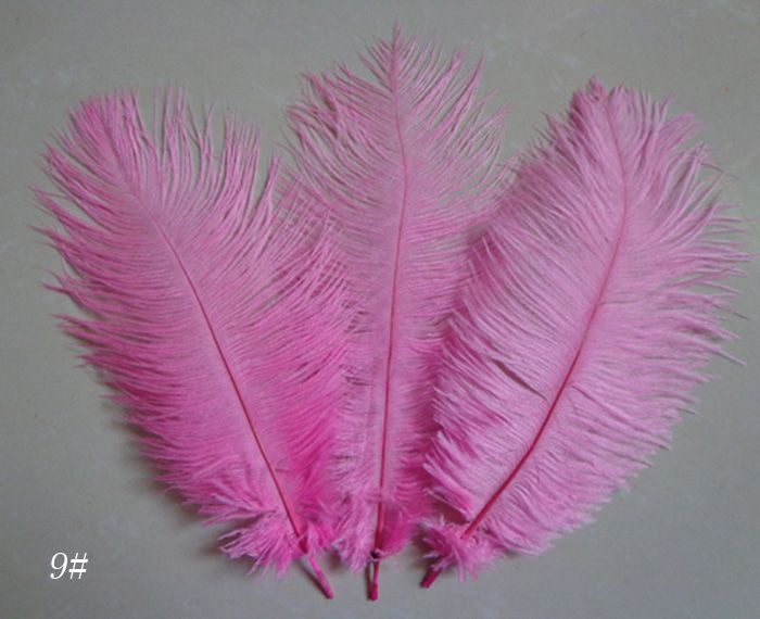 Wholesale 15 20cm/6 8Inch Colored Mix Ostrich Feathers Plumage For ...
