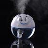 Lucky Pig MINI USB Humidifier PinkWhite Air Purifier Aroma Diffuser for HomeRoomCar Cute Home Appliances Air Cleaning SH3088456659