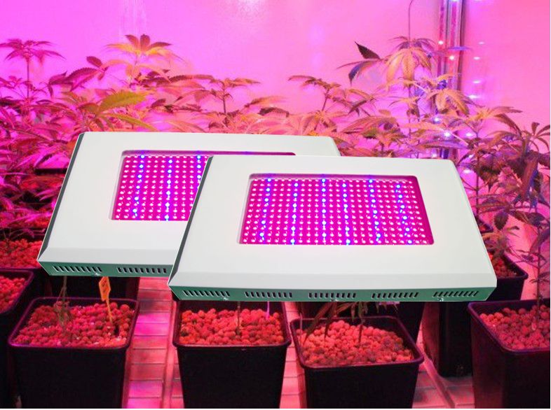 Grow Hydroponic Lighting Led 800w Plants Led Grow Lights Hydroponic Lamp UV IR Full Spectrum For