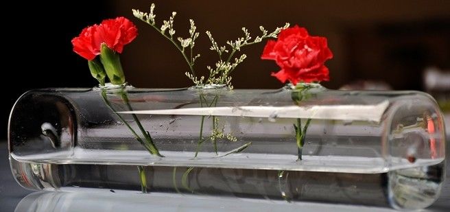 Simple Glass Vase Transparent Long Tube Square Flower Home