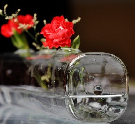 Simple Glass Vase Transparent Long Tube Square Flower Home