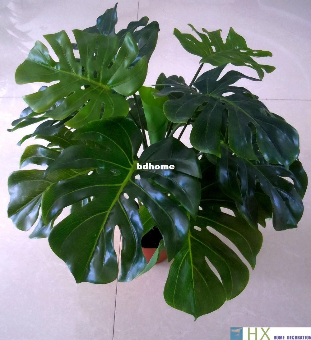 2019 Turtle Leaves Plants Artificial Tree Plants Home Decoration Indoor Plants 13 Leaves Pcs From Bdhome 43 25 Dhgate Com