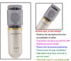 SK668 professionnel condensateur son Studio enregistrement Microphone KTV karaoké filaire micro dynamique antichoc support de support Set9581483