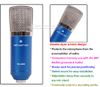 Ny ankomst Ryssland Skerei SK888 Toppkvalitet Professional Wired Studio Condenser Microphone Internet Karaoke Gold KTV CAPAC9744609