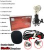 Skerei SK887 Wired Professional DJ And Studio Recording Condenser Microphone Pro Studio Recording MicrophoneComputer Microphone3181863